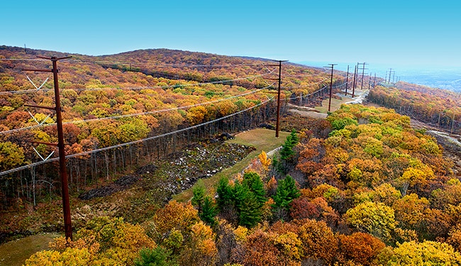 Transmission power lines running through trees
