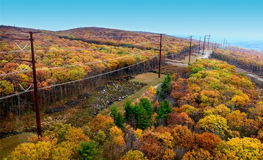 Transmission power lines running between trees in Autumn