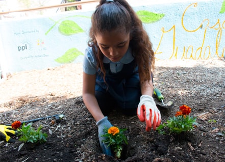 A little girl planting flowers