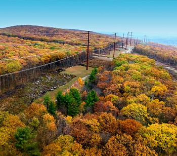 Transmission power lines running between trees in Autumn